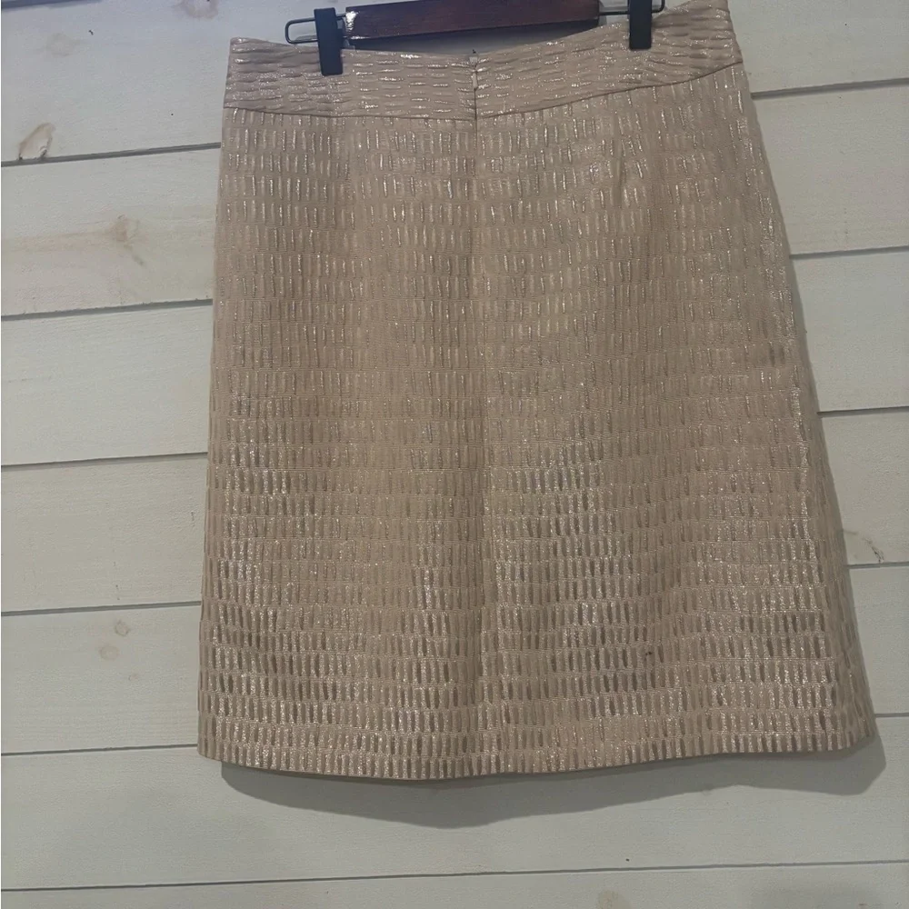 Talbots NWT Shimmering Beige Skirt in size 8 with pockets